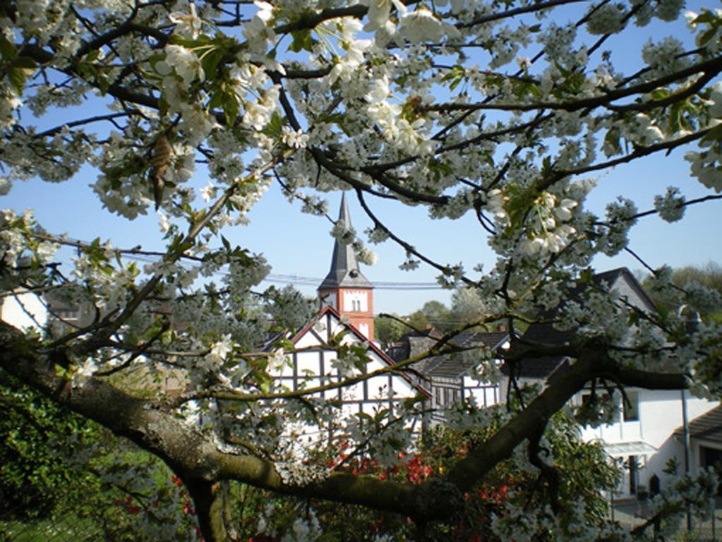 Maisonette Im Hof Krupp Bruchhausen  외부 사진